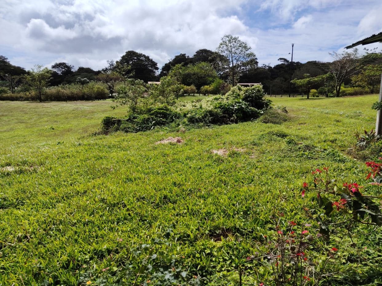 REDUCED PRICE! 5447 m² Property for Sale Near Tenorio Volcano, Costa Rica – Exceptional Investment Opportunity For sale in Costa Rica, photo 9