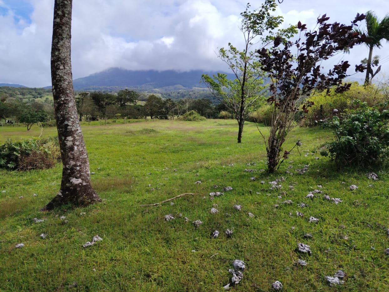 REDUCED PRICE! 5447 m² Property for Sale Near Tenorio Volcano, Costa Rica – Exceptional Investment Opportunity For sale in Costa Rica, photo 16