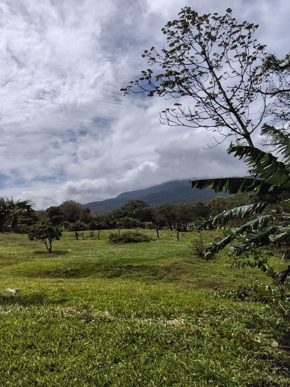 REDUCED PRICE! 5447 m² Property for Sale Near Tenorio Volcano, Costa Rica – Exceptional Investment Opportunity For sale in Costa Rica, photo 6