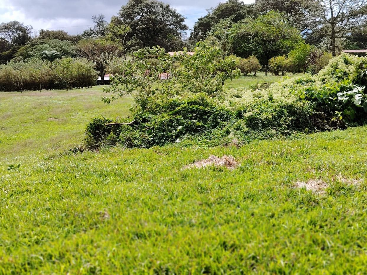 REDUCED PRICE! 5447 m² Property for Sale Near Tenorio Volcano, Costa Rica – Exceptional Investment Opportunity For sale in Costa Rica, photo 12