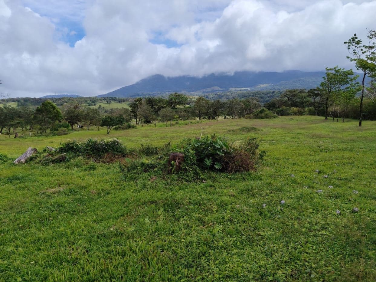 REDUCED PRICE! 5447 m² Property for Sale Near Tenorio Volcano, Costa Rica – Exceptional Investment Opportunity For sale in Costa Rica, photo 10