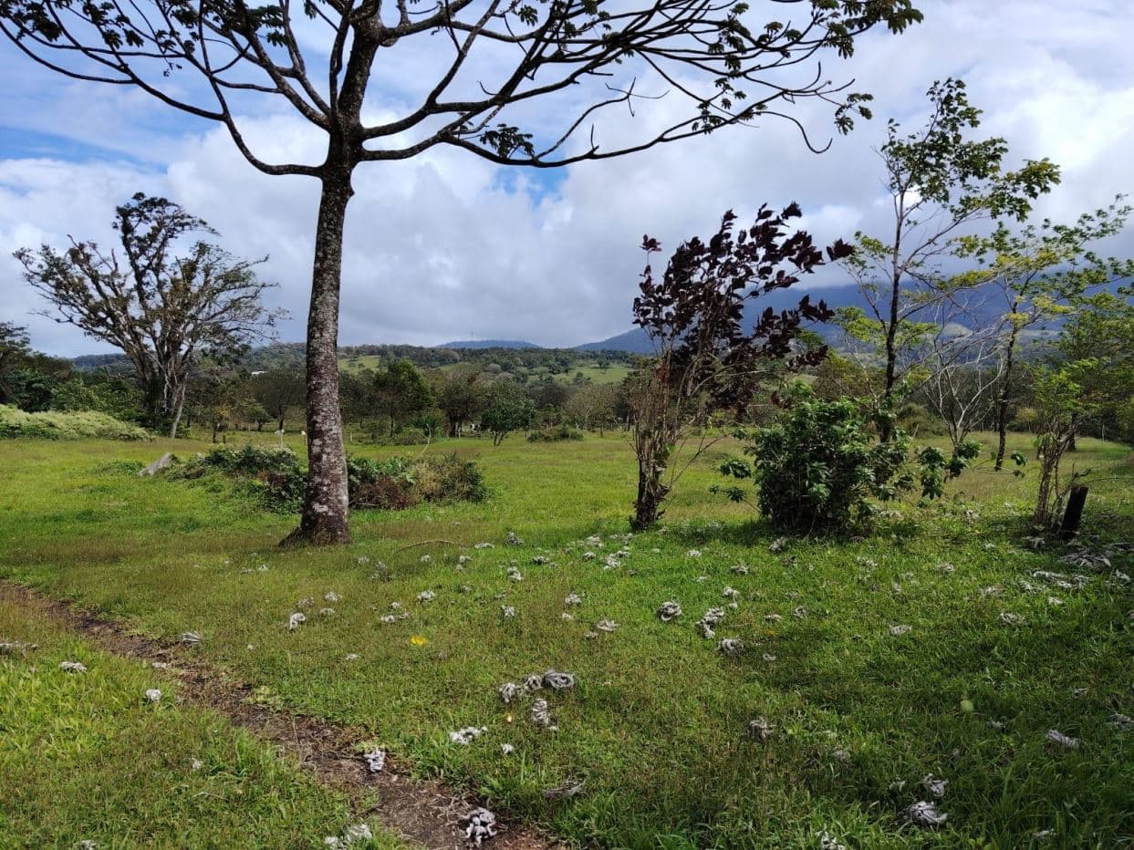 REDUCED PRICE! 5447 m² Property for Sale Near Tenorio Volcano, Costa Rica – Exceptional Investment Opportunity For sale in Costa Rica, photo 18