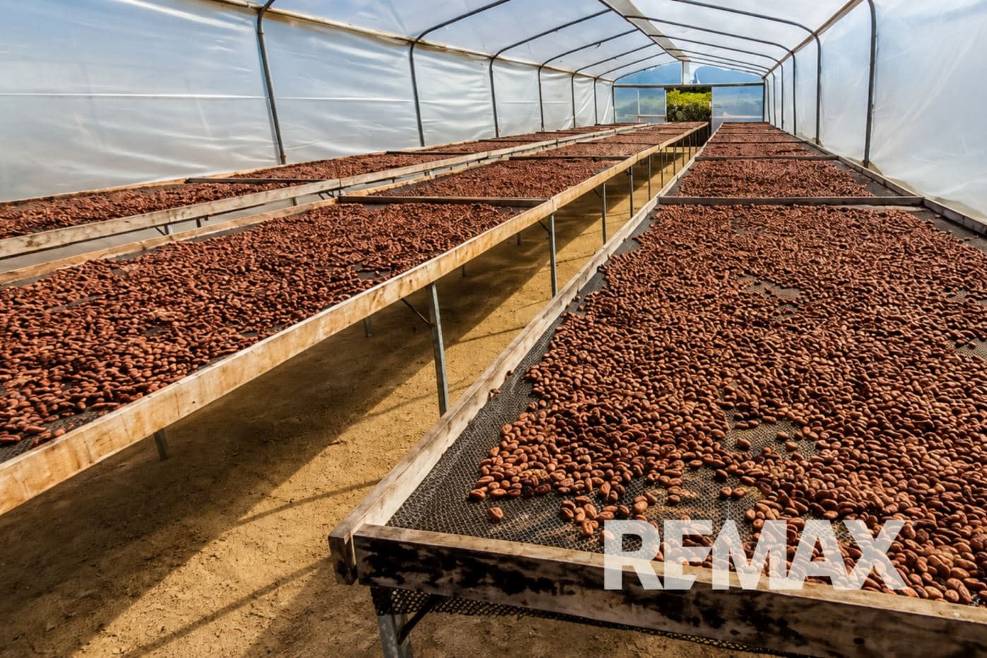 Turnkey Cacao Farm for Sale in Northern Costa Rica 71 Acres