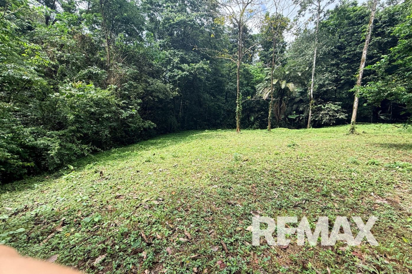 Turnkey Cacao Farm for Sale in Northern Costa Rica 71 Acres, photo 14