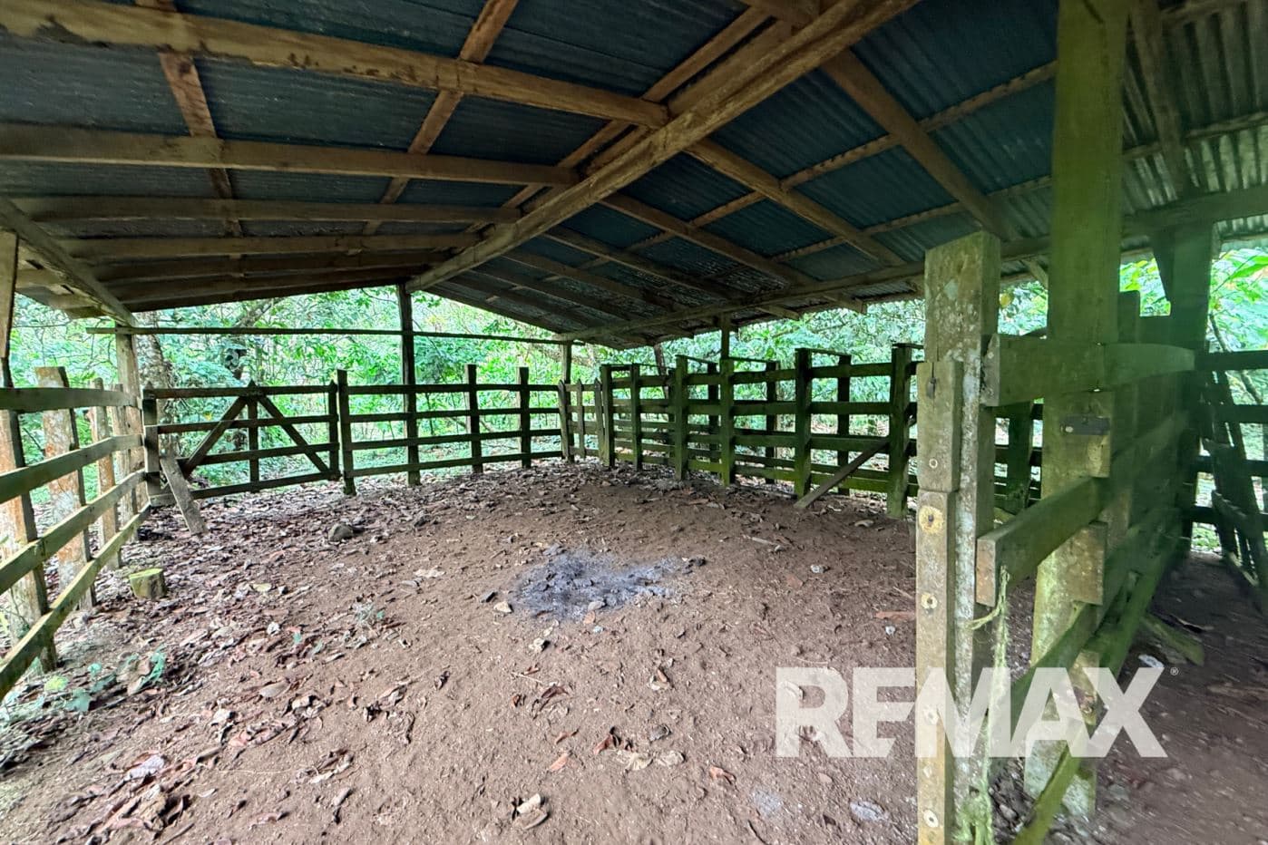 Turnkey Cacao Farm for Sale in Northern Costa Rica 71 Acres, photo 9