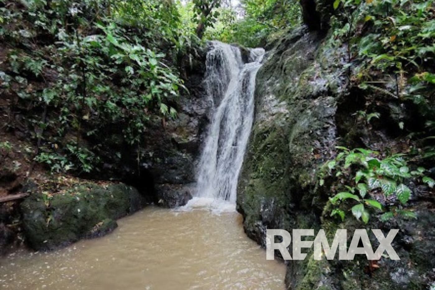 Turnkey Cacao Farm for Sale in Northern Costa Rica 71 Acres, photo 24