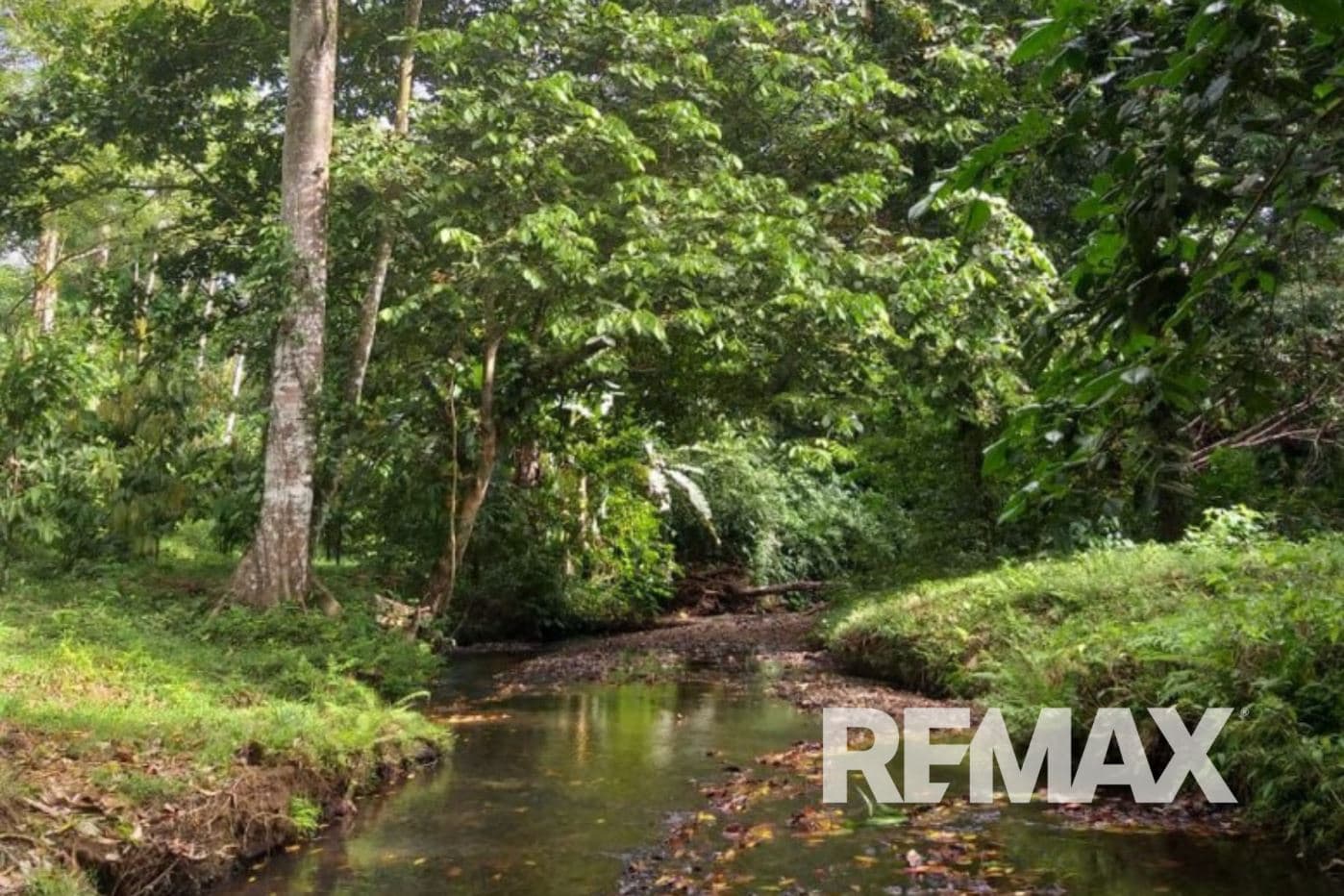 Turnkey Cacao Farm for Sale in Northern Costa Rica 71 Acres, photo 25