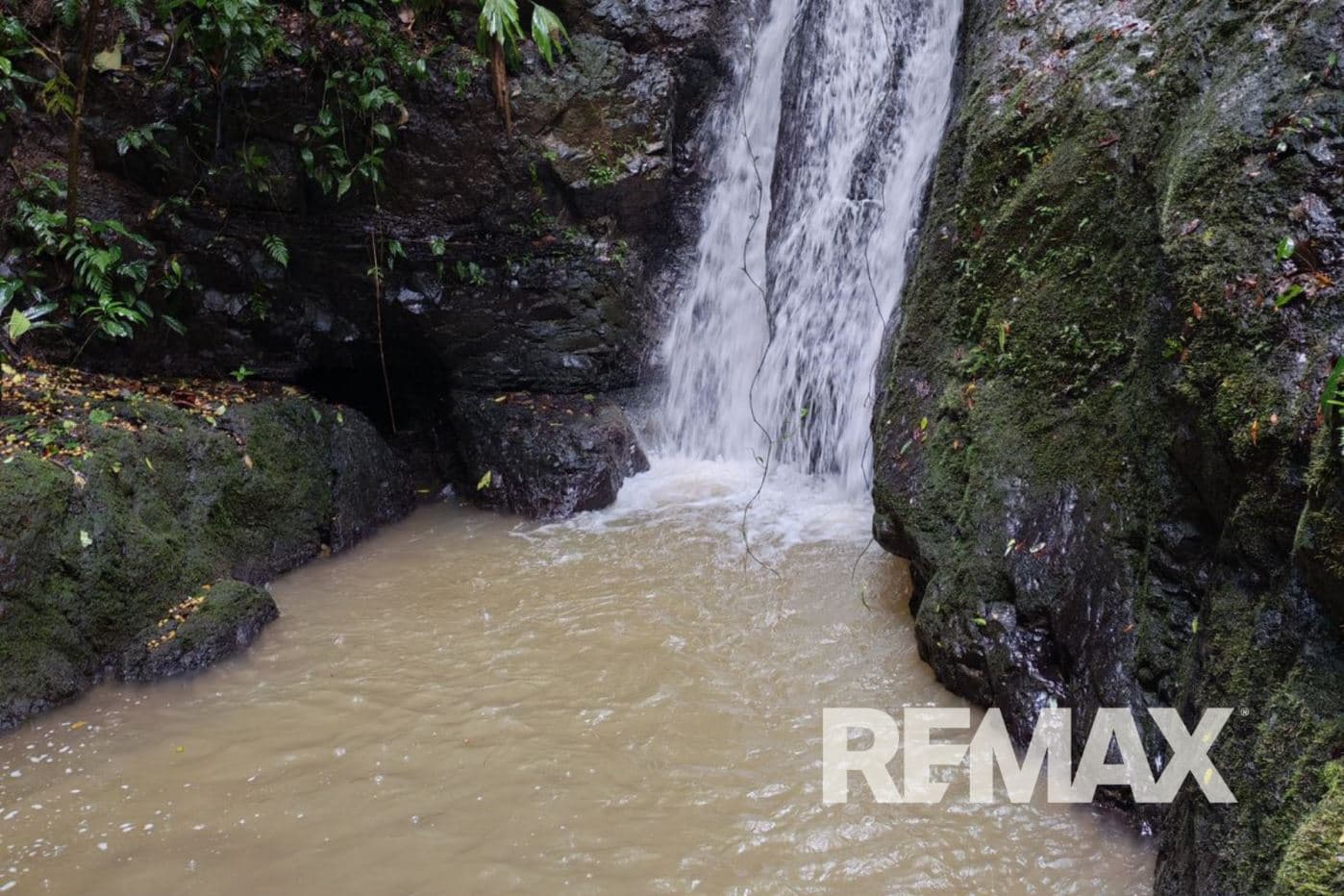 Turnkey Cacao Farm for Sale in Northern Costa Rica 71 Acres, photo 23
