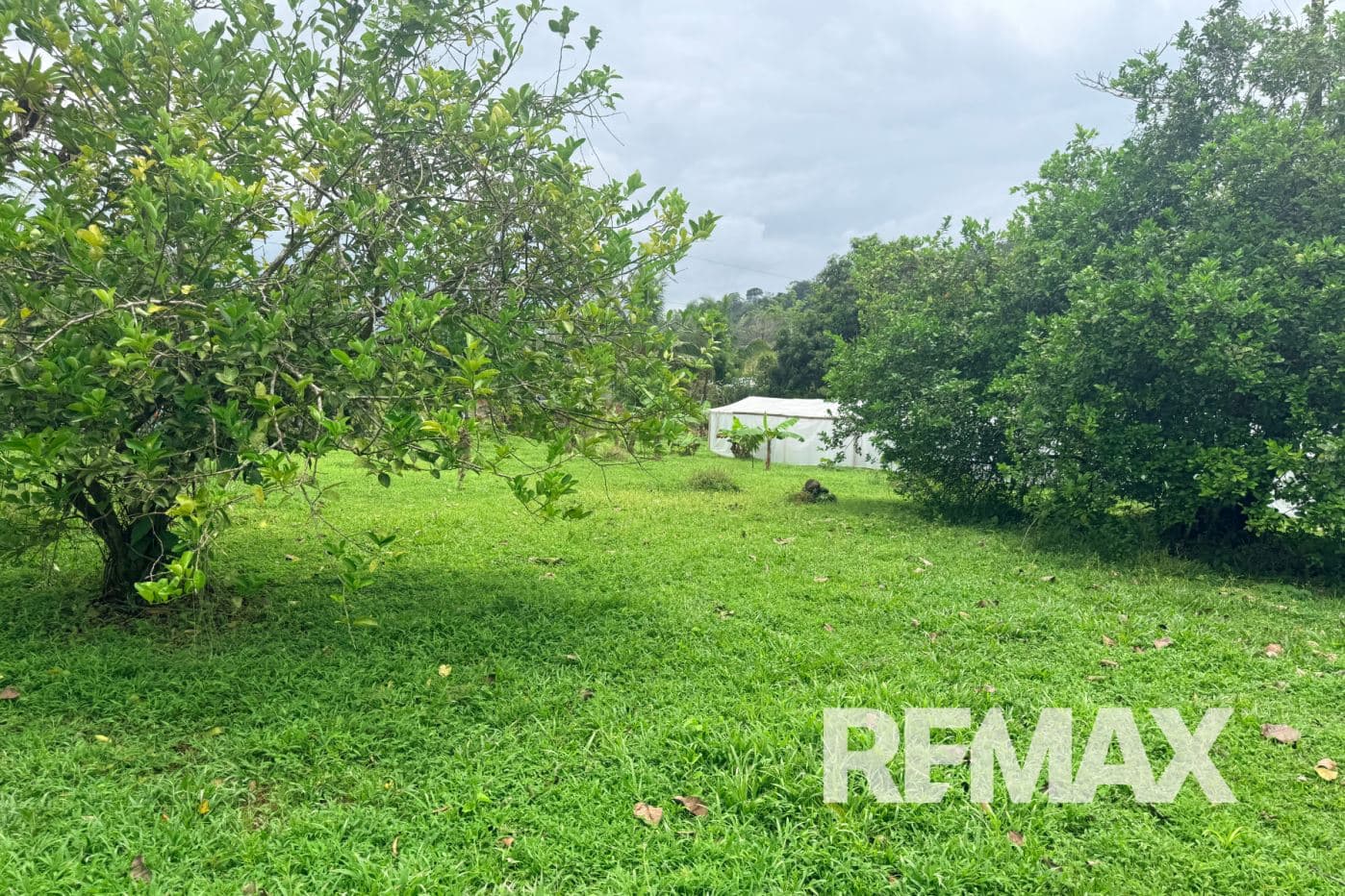Turnkey Cacao Farm for Sale in Northern Costa Rica 71 Acres, photo 22