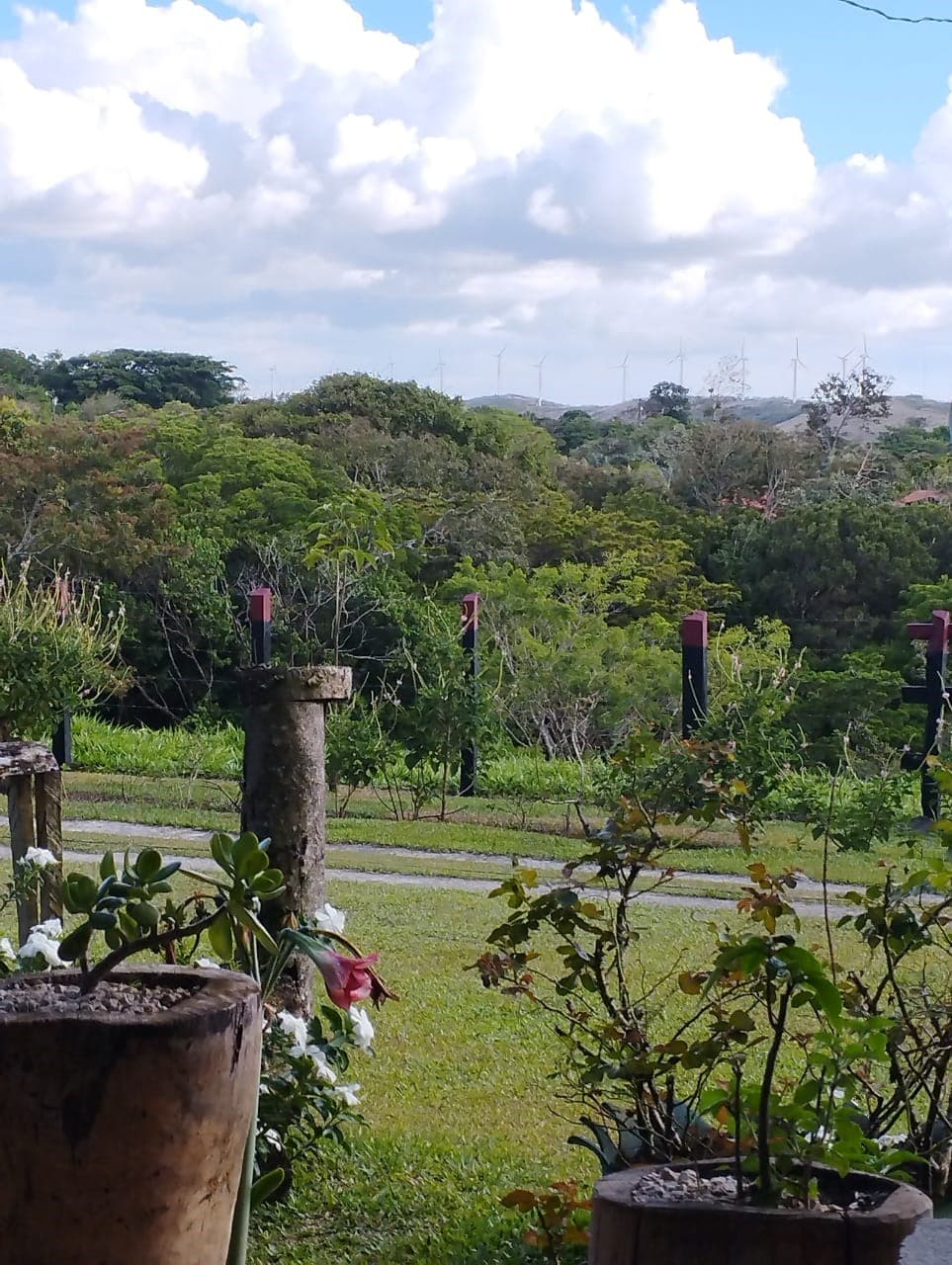 La Pradera, photo 2