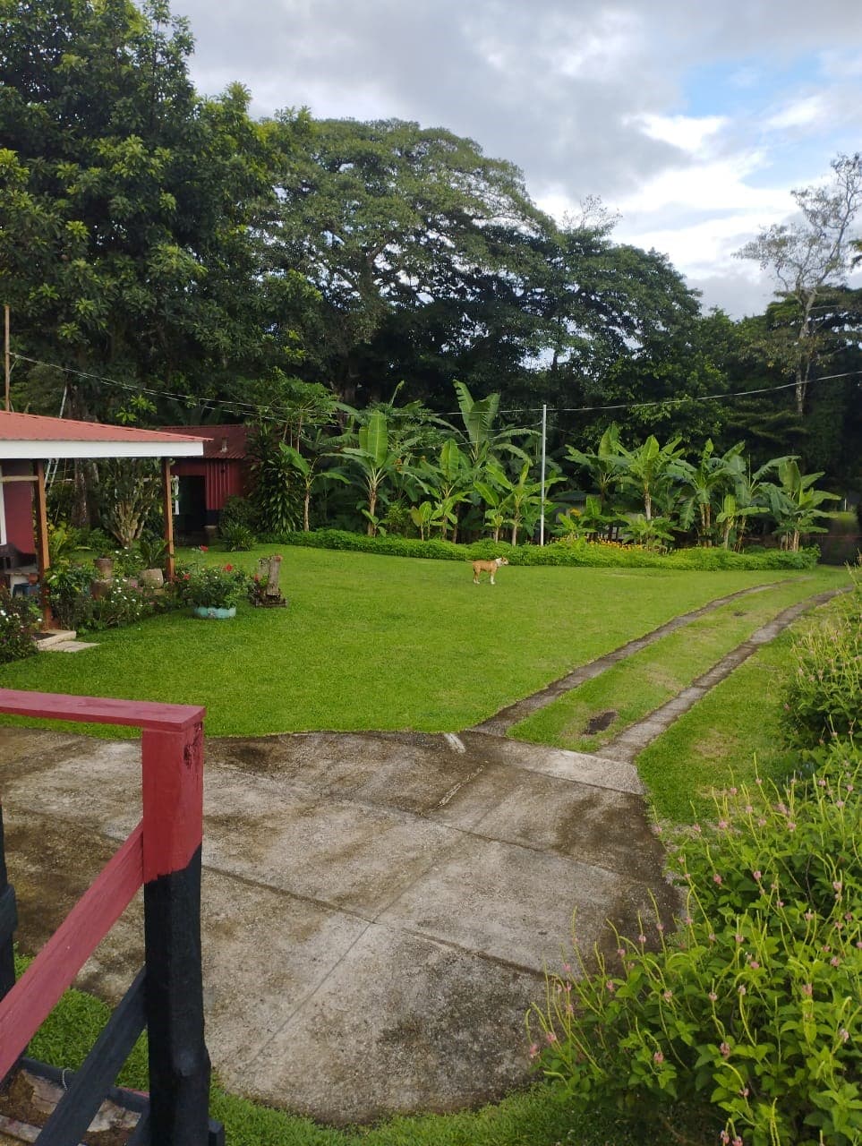 La Pradera, photo 7