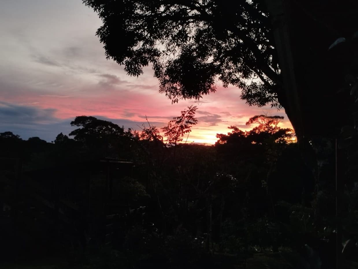 La Pradera, photo 15