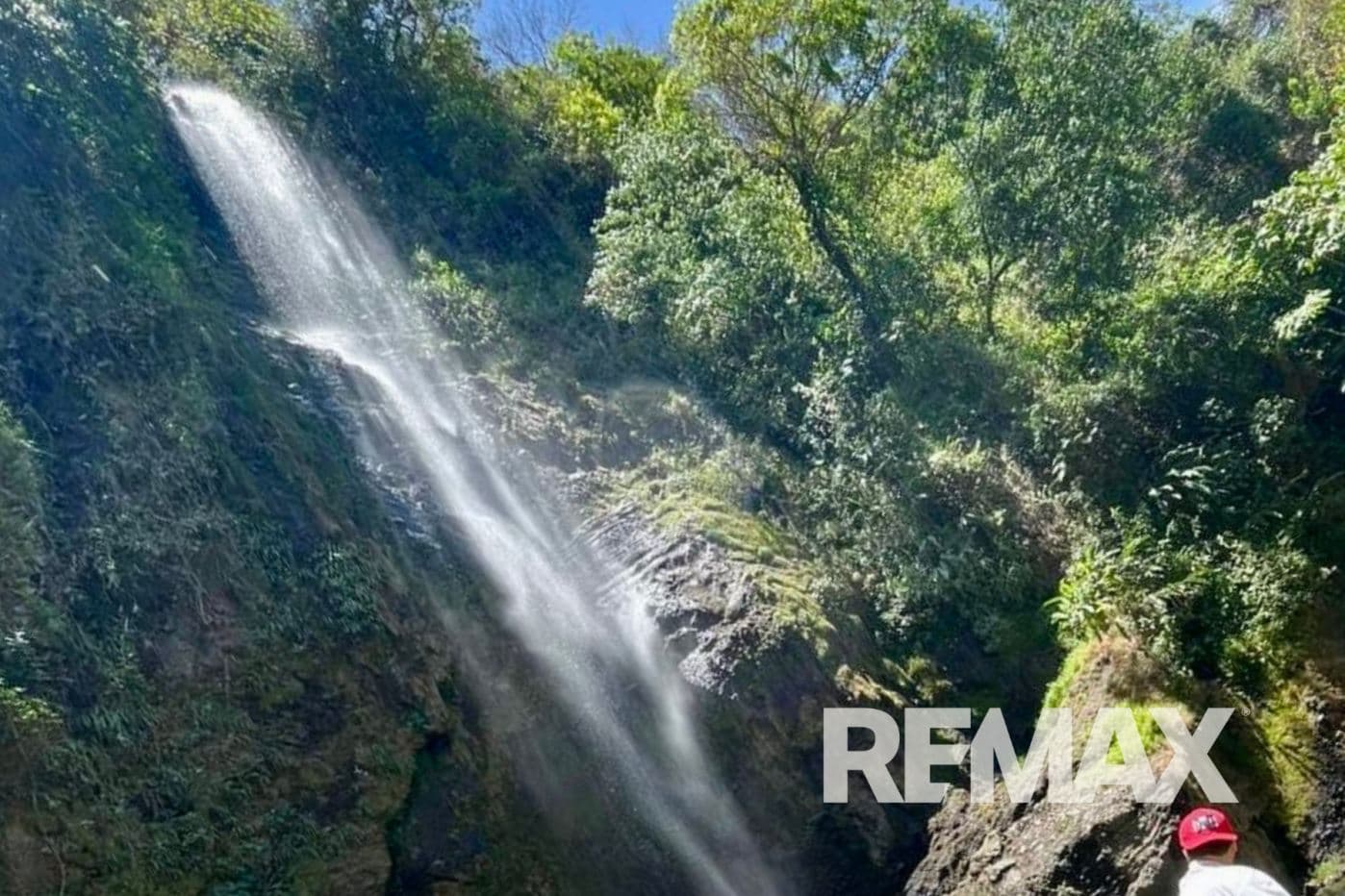 Eco farm Senderos de Viento Fresco An Exceptional Investment Combining Water, Nature, and Productivity, photo 9