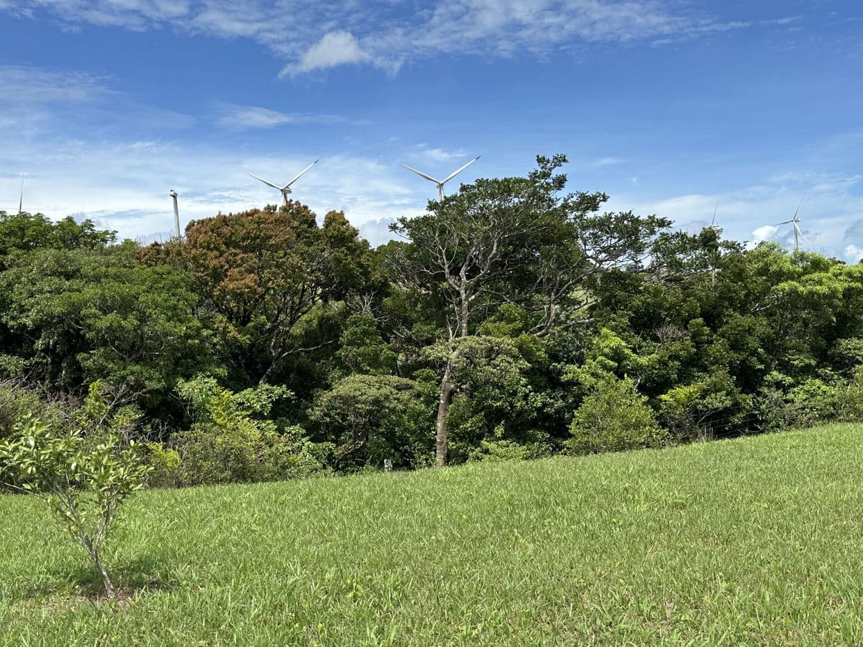 Modern Cabin on Huge Property in Tilaran near Lake Arenal Costa Rica for Sale, photo 19