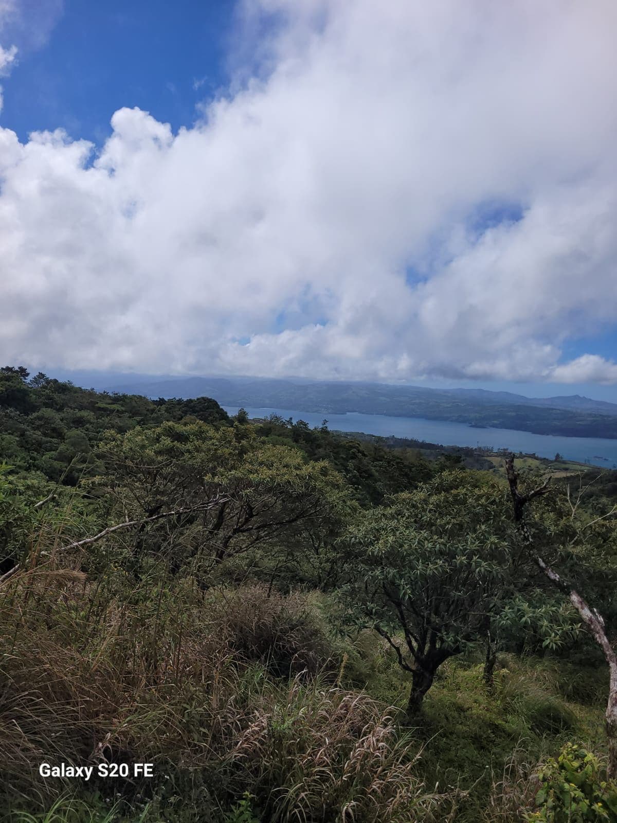 Preserve land in protected area Costa Rica, photo 8