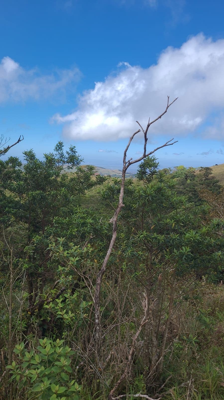 Preserve land in protected area Costa Rica, photo 10