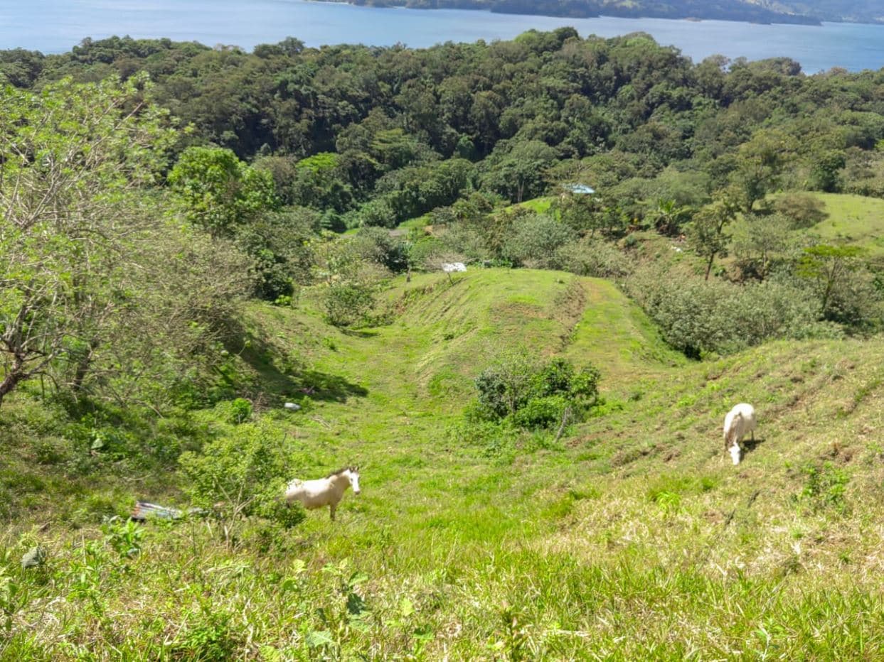 Building lot in Nuevo Arenal, photo 2