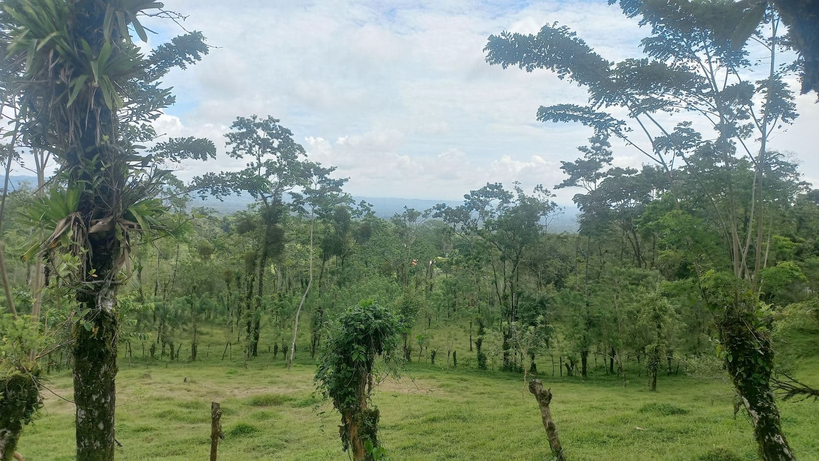 Prime Lot in La Fortuna – Steps from La Fortuna Waterfall with views of the volcano, photo 10