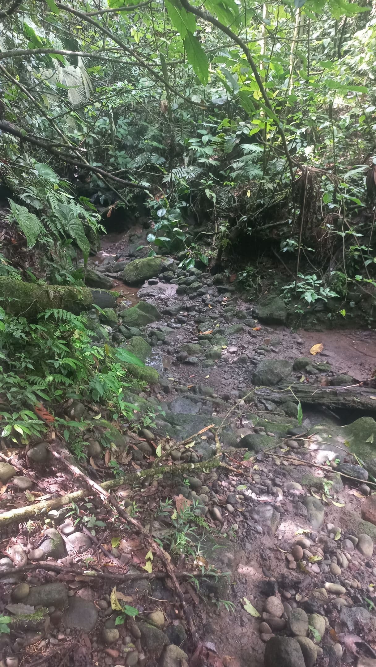 Prime Lot in La Fortuna – Steps from La Fortuna Waterfall with views of the volcano, photo 9