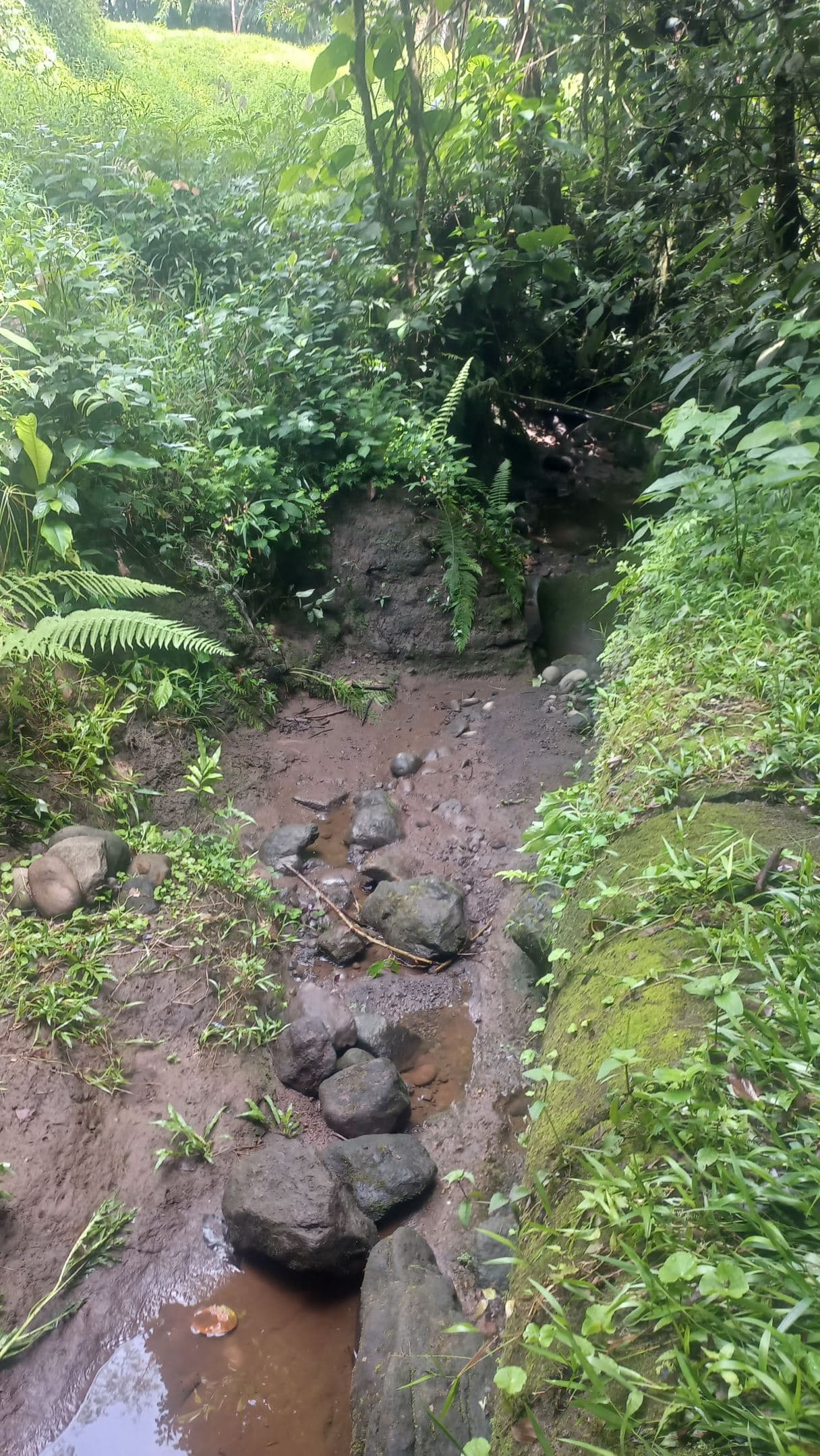 Prime Lot in La Fortuna – Steps from La Fortuna Waterfall with views of the volcano, photo 15