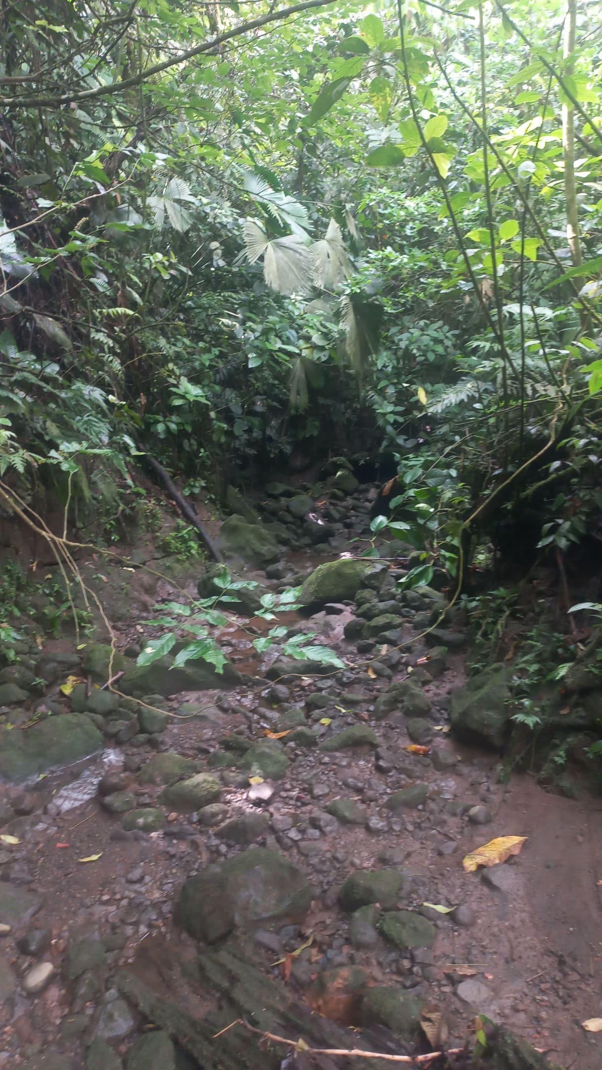 Prime Lot in La Fortuna – Steps from La Fortuna Waterfall with views of the volcano, photo 11
