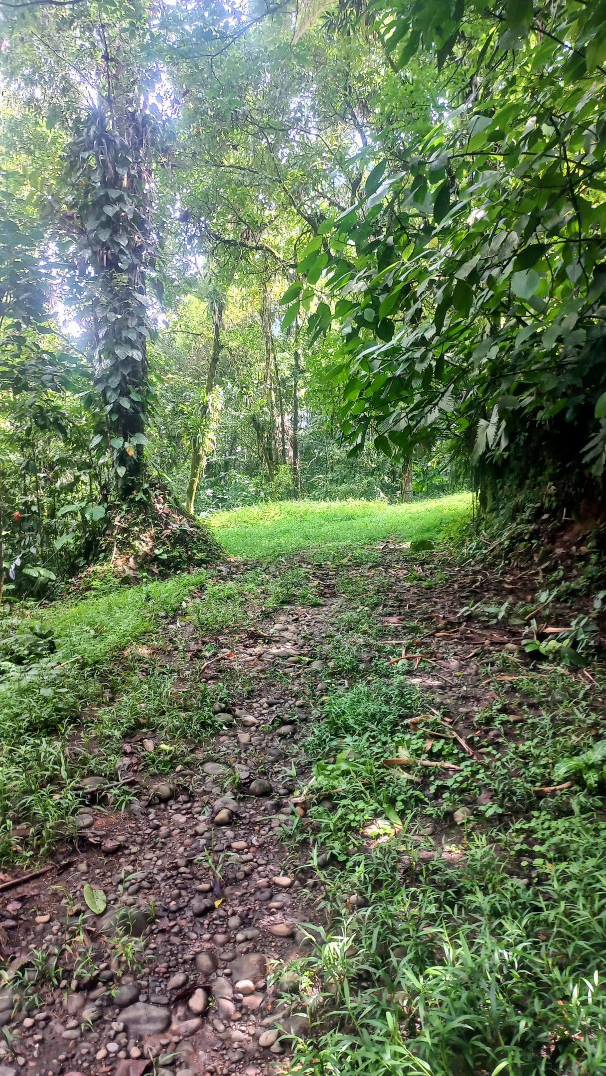 Prime Lot in La Fortuna – Steps from La Fortuna Waterfall with views of the volcano, photo 13