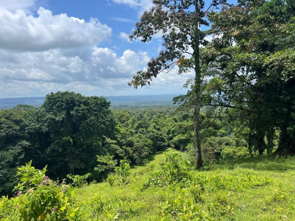 Prime Lot in La Fortuna – Steps from La Fortuna Waterfall with views of the volcano, photo 5