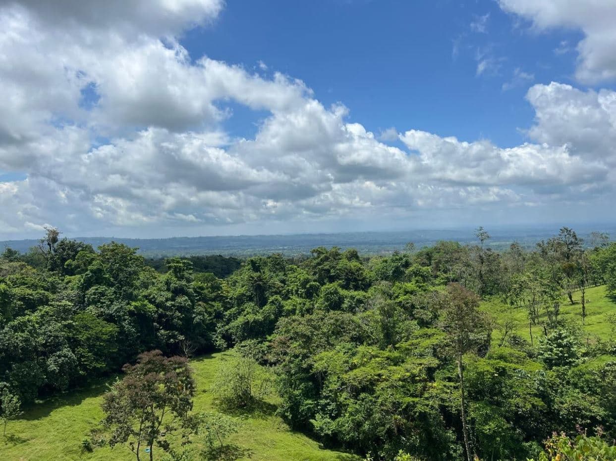 Prime Lot in La Fortuna – Steps from La Fortuna Waterfall with views of the volcano, photo 7