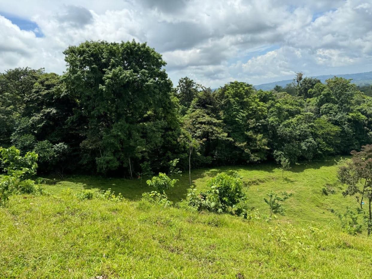 Prime Lot in La Fortuna – Steps from La Fortuna Waterfall with views of the volcano, photo 2