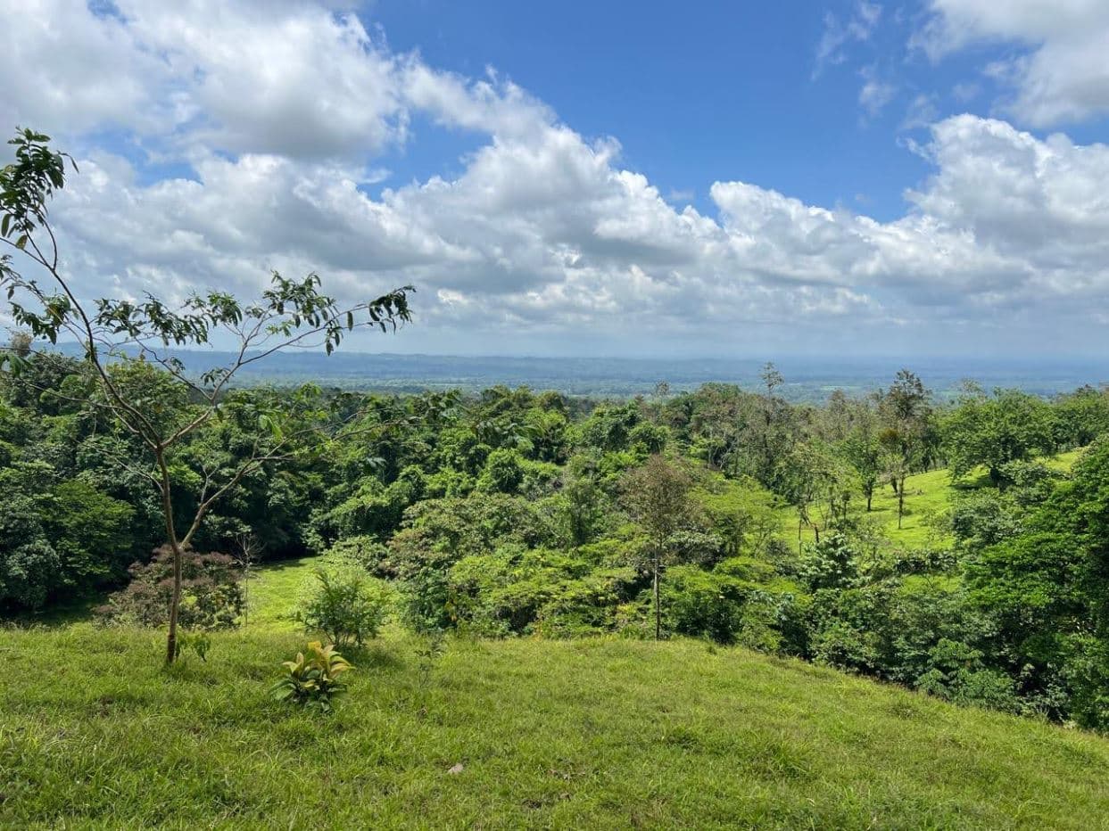 Prime Lot in La Fortuna – Steps from La Fortuna Waterfall with views of the volcano, photo 3