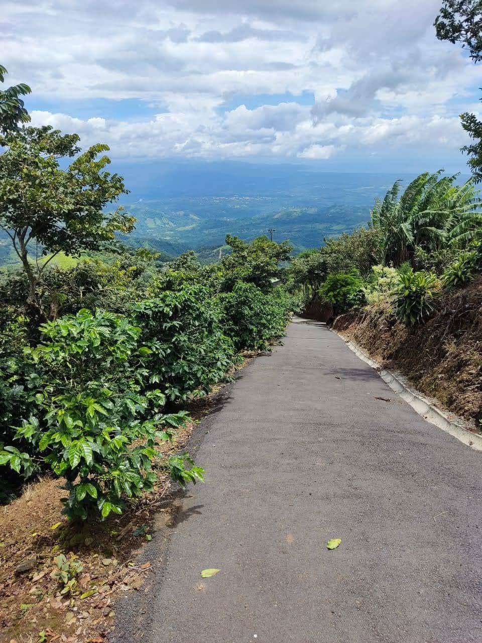 Reduced price for Stunning Mountain Property in Berlin, Costa Rica - Breathtaking Views & Income Potential, photo 4