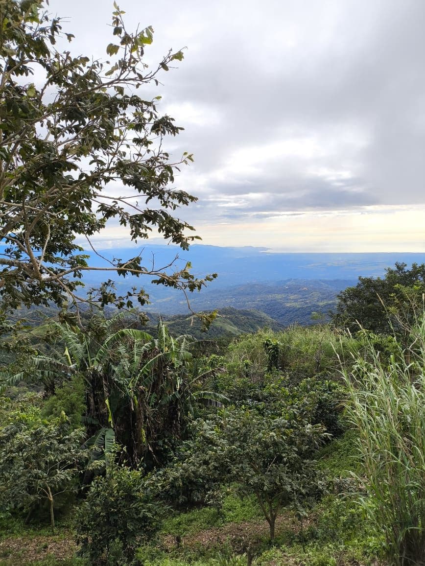 Reduced price for Stunning Mountain Property in Berlin, Costa Rica - Breathtaking Views & Income Potential, photo 13
