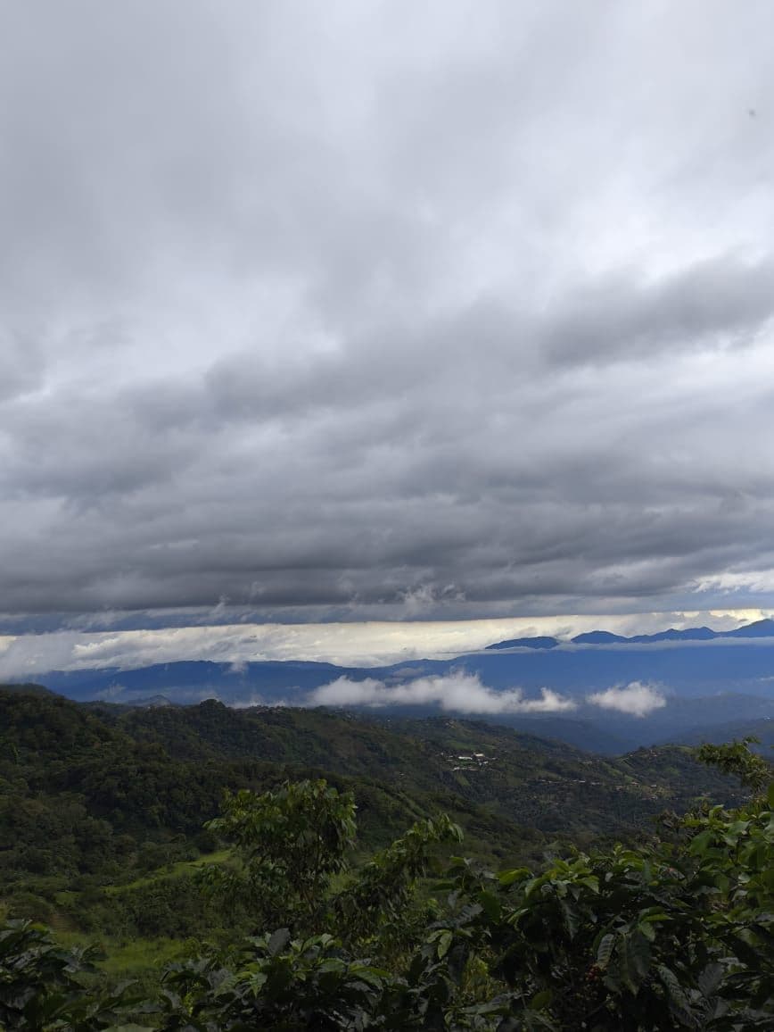 Reduced price for Stunning Mountain Property in Berlin, Costa Rica - Breathtaking Views & Income Potential, photo 15