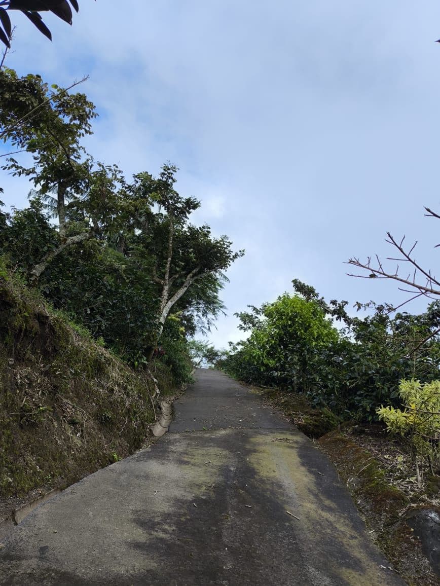 Reduced price for Stunning Mountain Property in Berlin, Costa Rica - Breathtaking Views & Income Potential, photo 19