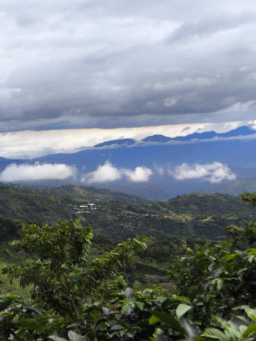 Reduced price for Stunning Mountain Property in Berlin, Costa Rica - Breathtaking Views & Income Potential, photo 23