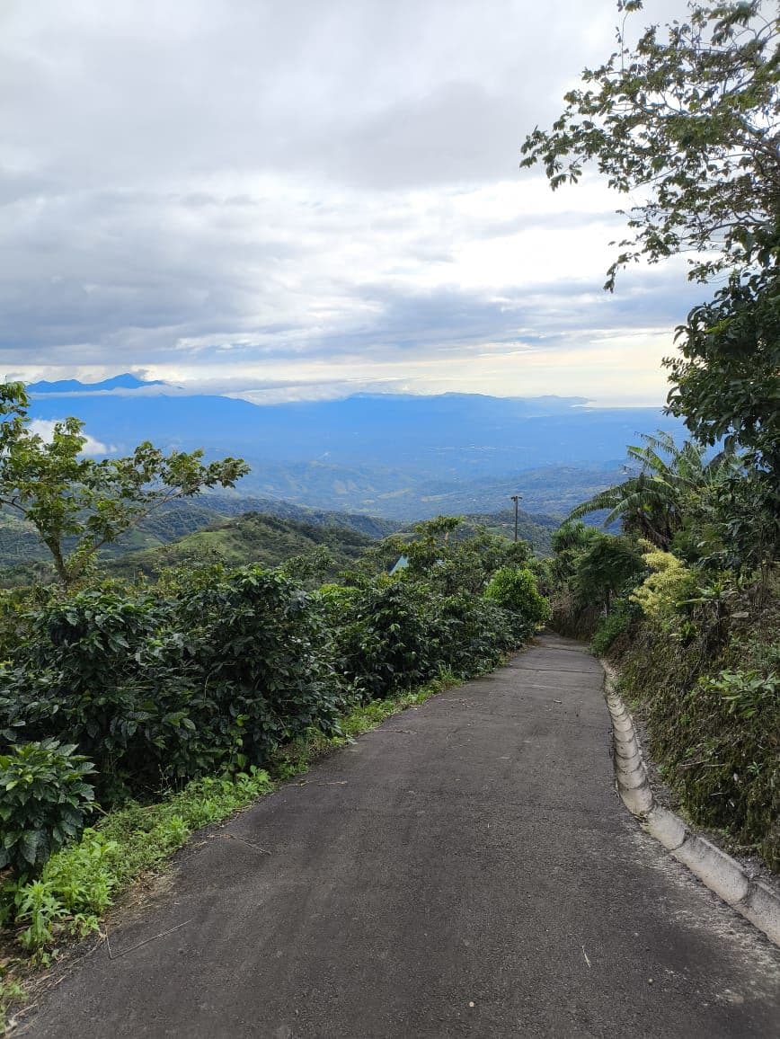Reduced price for Stunning Mountain Property in Berlin, Costa Rica - Breathtaking Views & Income Potential, photo 25