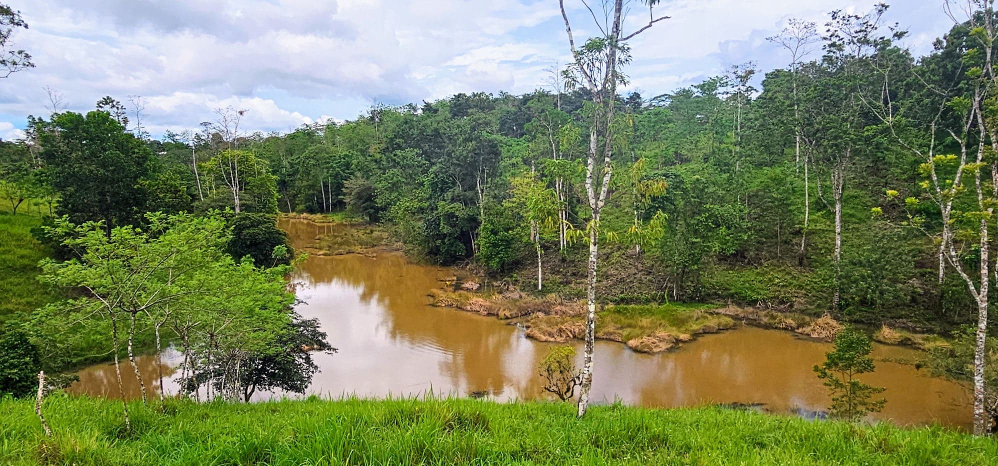Fully Fenced 78,000m² Farm with Two Homes, Stables & Water Sources – Pocosol, San Carlos, photo 29