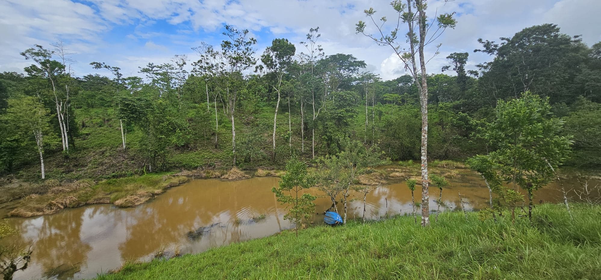 Fully Fenced 78,000m² Farm with Two Homes, Stables & Water Sources – Pocosol, San Carlos, photo 31