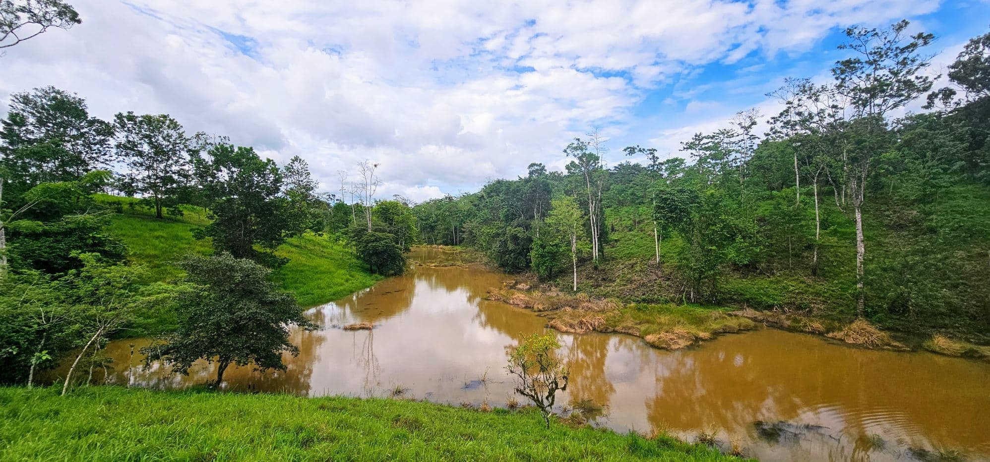 Fully Fenced 78,000m² Farm with Two Homes, Stables & Water Sources – Pocosol, San Carlos, photo 30
