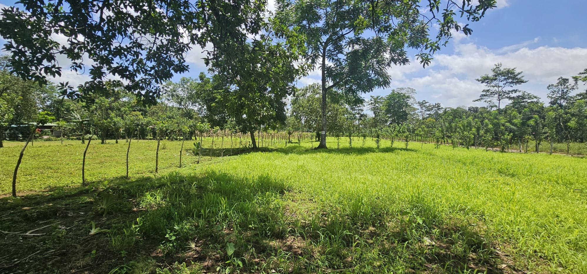 Prime Development Lot with Arenal Volcano Views – 14,000m² in Zonafluca