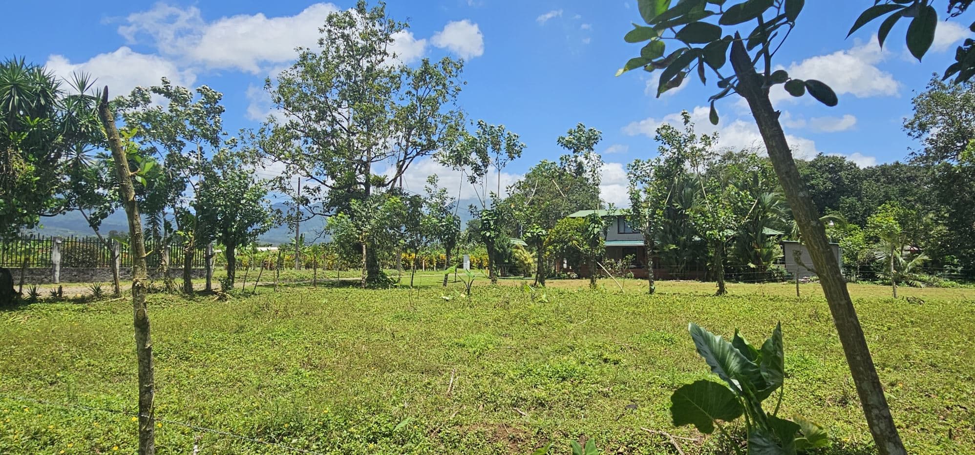 Prime Development Lot with Arenal Volcano Views – 14,000m² in Zonafluca, photo 8