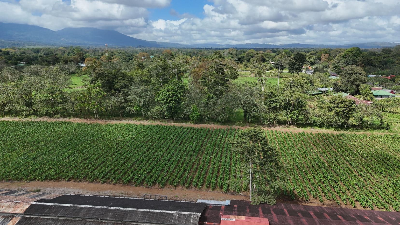 100,000+ m² Agricultural Investment with Established Packing & Processing Facility, photo 17