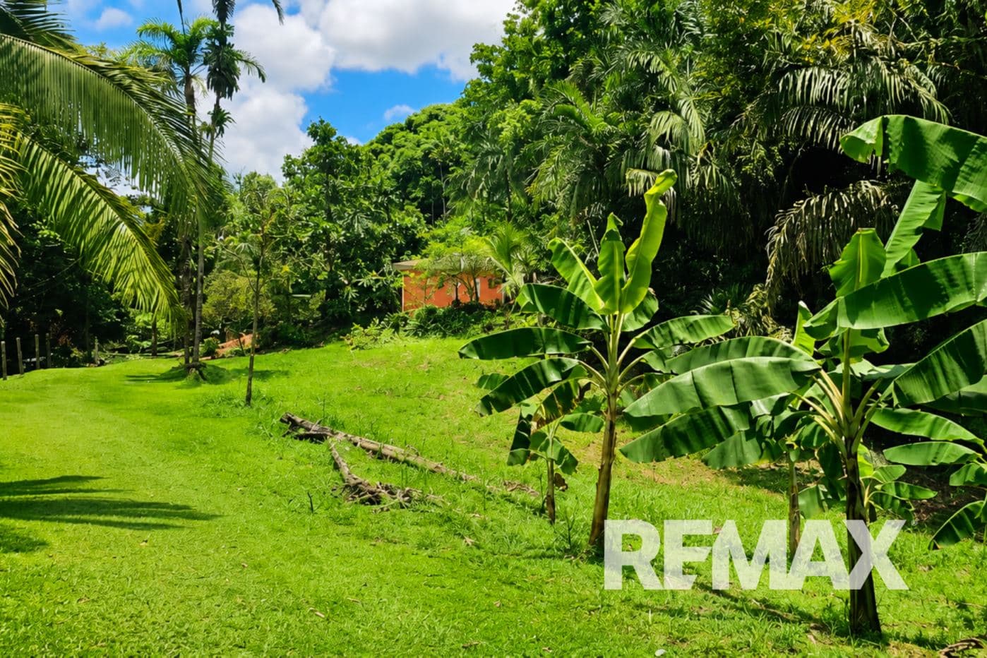 Riverfront Property with Expansion Potential Near La Fortuna – 2,918 m² + Additional 2,000 m² Usage Rights