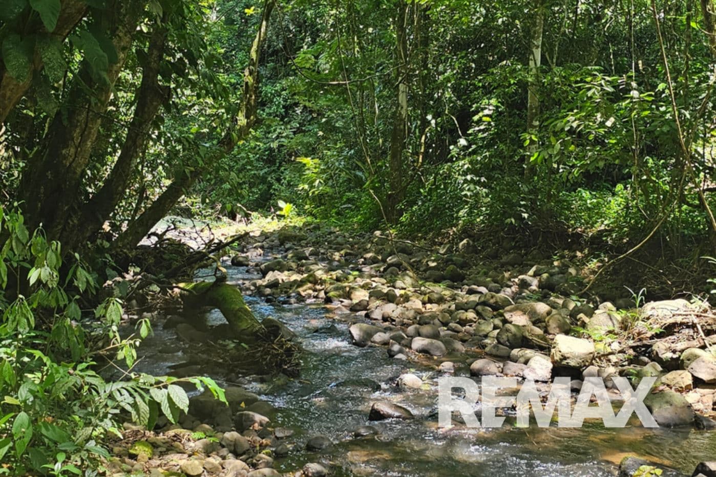 Riverfront Property with Expansion Potential Near La Fortuna – 2,918 m² + Additional 2,000 m² Usage Rights, photo 5