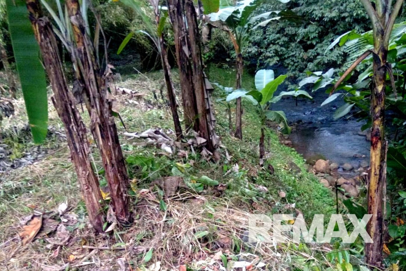 Riverfront Property with Expansion Potential Near La Fortuna – 2,918 m² + Additional 2,000 m² Usage Rights, photo 24