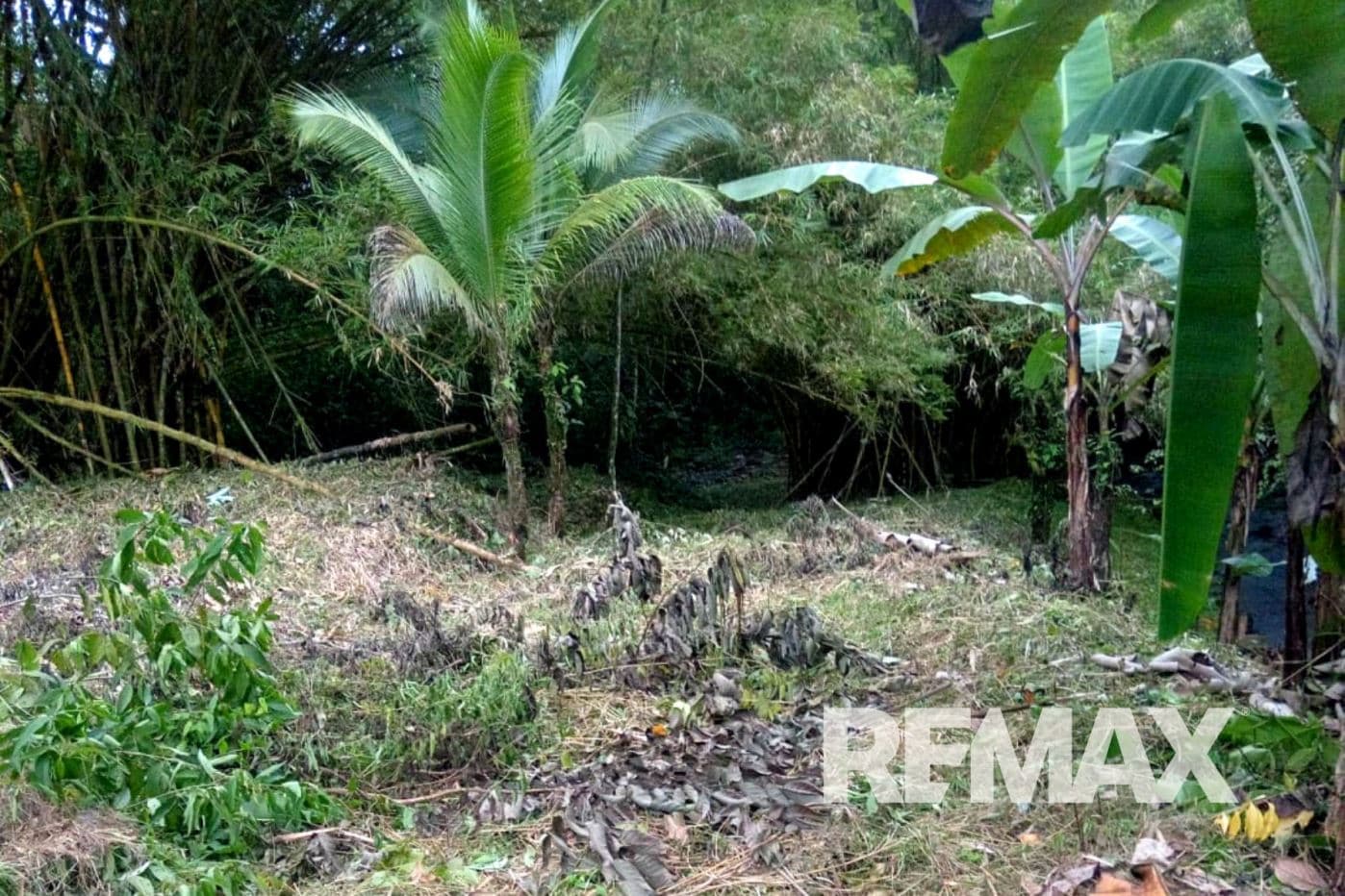 Riverfront Property with Expansion Potential Near La Fortuna – 2,918 m² + Additional 2,000 m² Usage Rights, photo 23