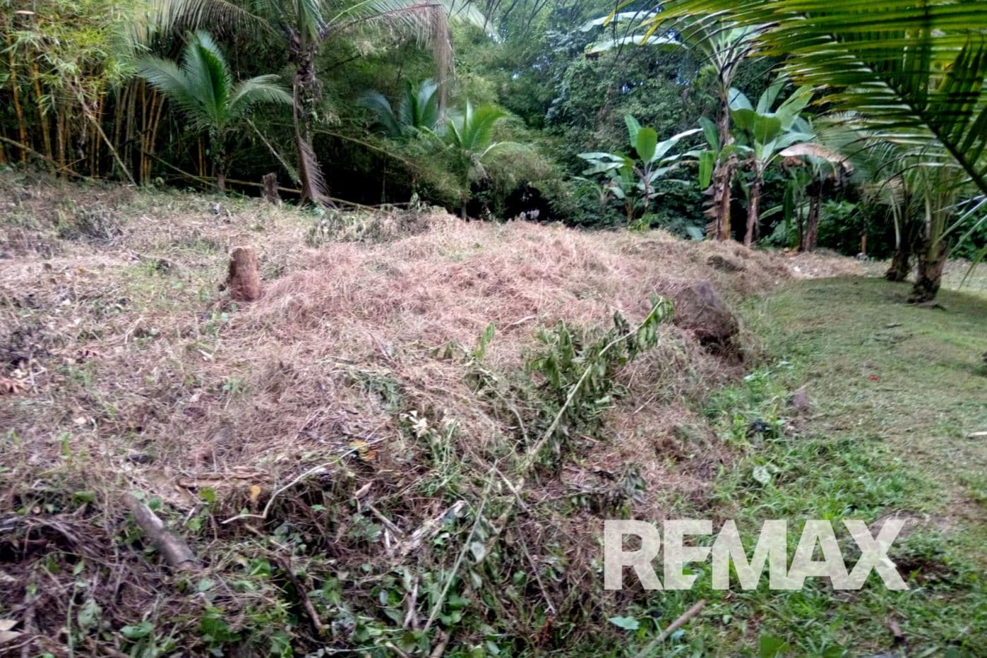 Riverfront Property with Expansion Potential Near La Fortuna – 2,918 m² + Additional 2,000 m² Usage Rights, photo 10