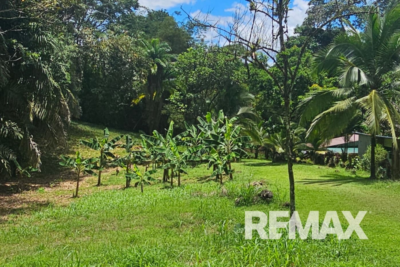 Riverfront Property with Expansion Potential Near La Fortuna – 2,918 m² + Additional 2,000 m² Usage Rights, photo 20