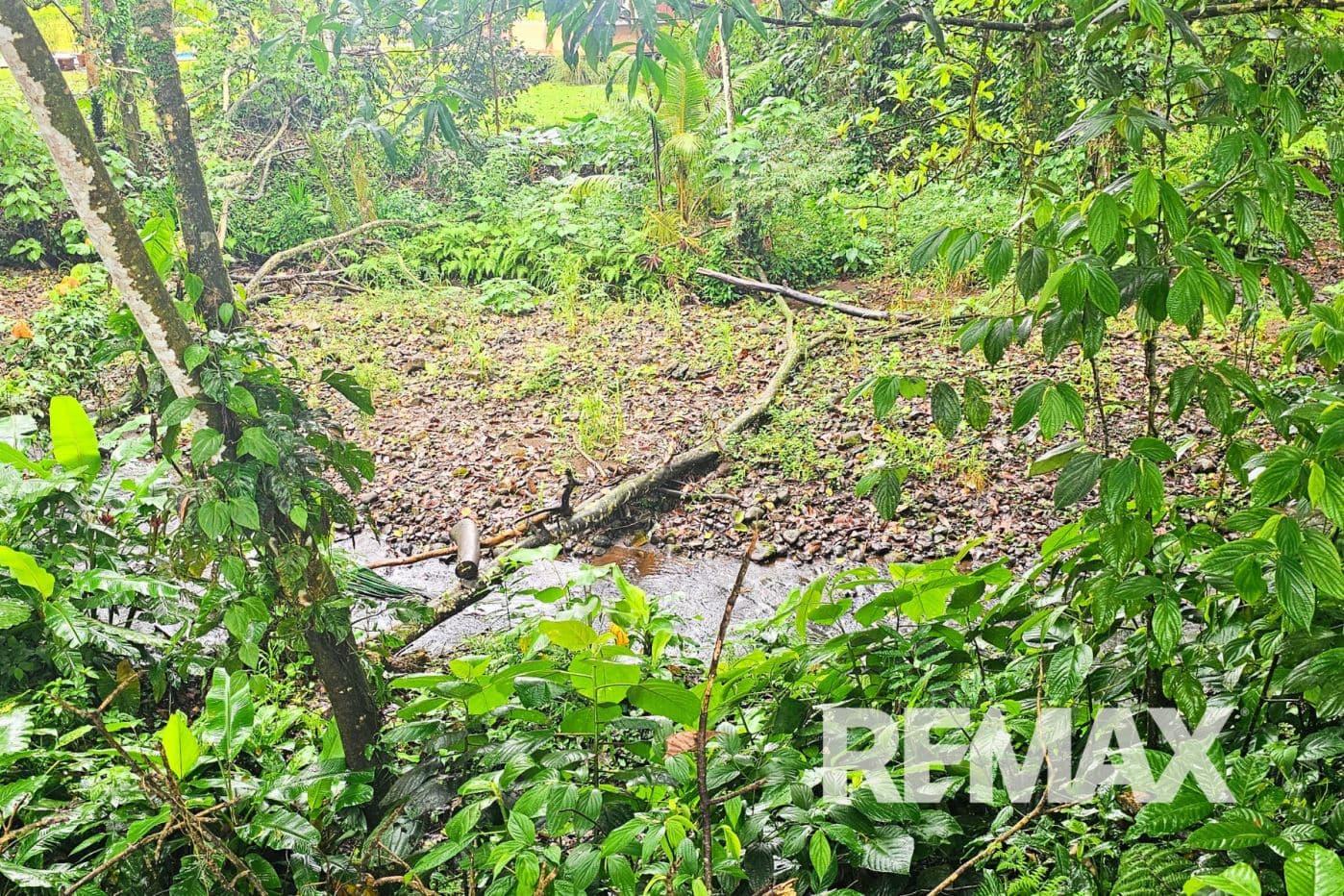 Riverfront Property with Expansion Potential Near La Fortuna – 2,918 m² + Additional 2,000 m² Usage Rights, photo 11