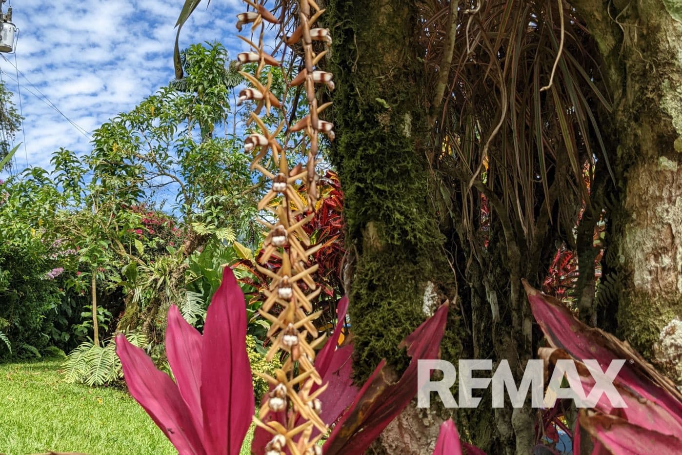 17-Acre Estate with Pool, Guest House & Income Potential Near La Fortuna, photo 31